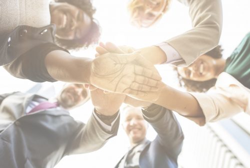 Stock Images - D4F (Executive Lab) (31)